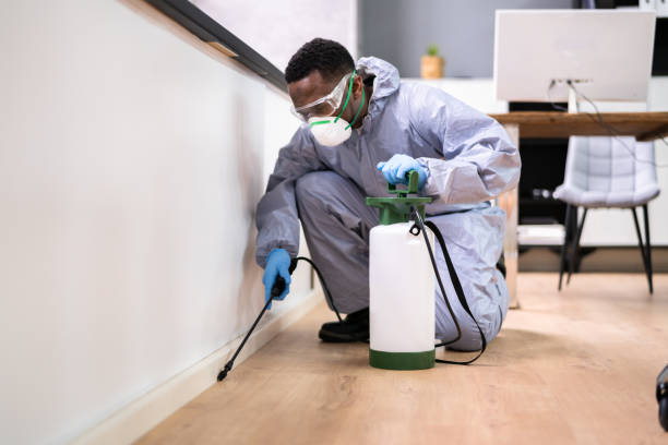 Professional Pest Control in Pawtucket, RI